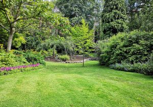 Optimiser l'expérience du jardin à Castelnau-Chalosse
